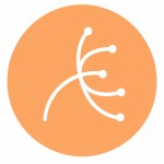 Allergy & Skin disorders