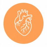 Cardiologist