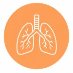 Pulmonologist