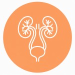 Urologist & Nephrologist