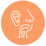 ENT (Ear, Nose & Thorat)