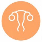 Fertility & Conception