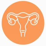 Obstetrics & Gynecologist